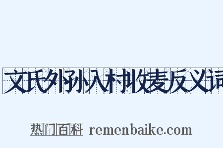 文氏外孙入村收麦反义词是什么意思的图片